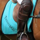 Polo in the Valley Polo in the Valley