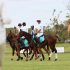 Polo in the valley 2011